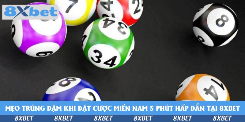Mẹo trúng đậm khi đặt cược miền Nam 5 phút hấp dẫn tại 8xbet