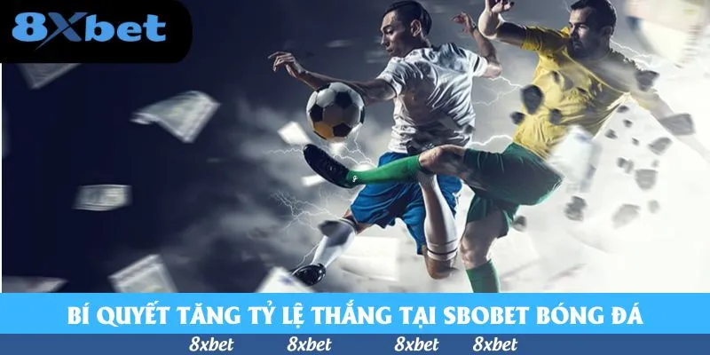 Bí quyết tăng tỷ lệ thắng tại SBOBET bóng đá